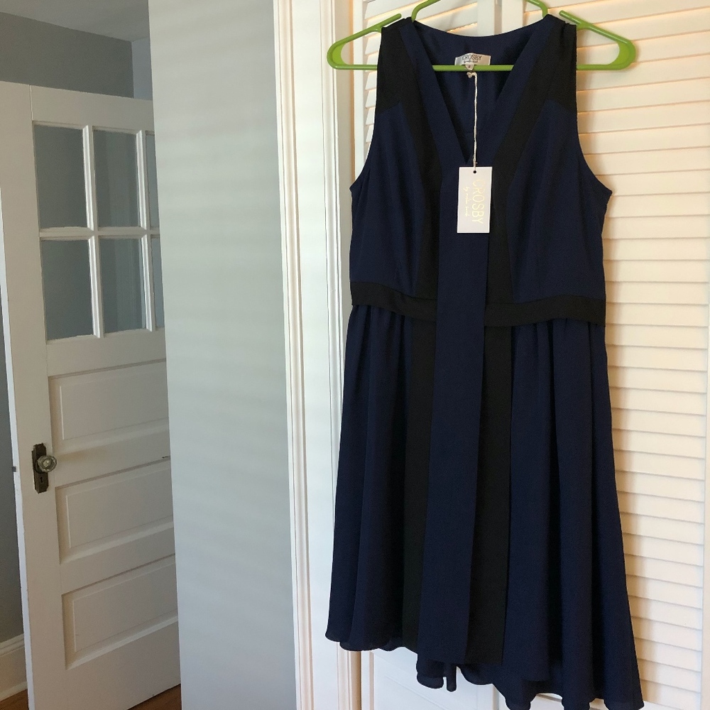 NWT Crosby by Mollie Burch Dress